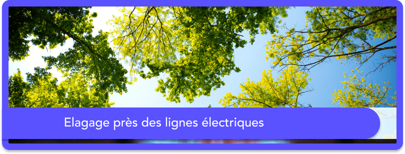 Élagage près des lignes électriques