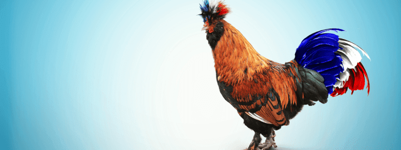 Après la crise, l’électricité revient en force en France