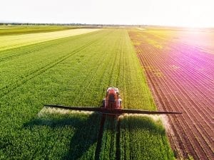 herbicide OGM